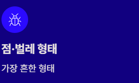 눈에 날파리 현상(비문증) 알아보기