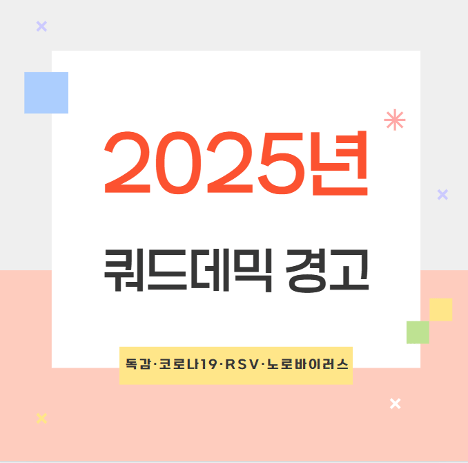2025 쿼드데믹 경고: 독감&middot;코로나19&middot;RSV&middot;노로바이러스