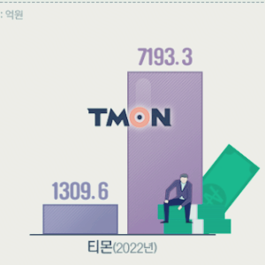 티몬 관련주 대장주 테마주 수혜주 TOP5