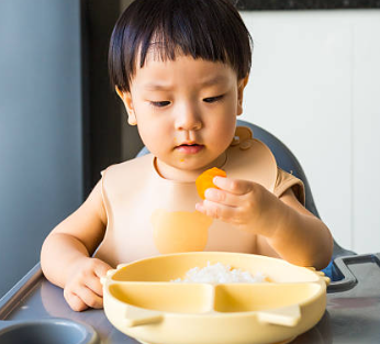 두돌 아기 핵심 발달 상황