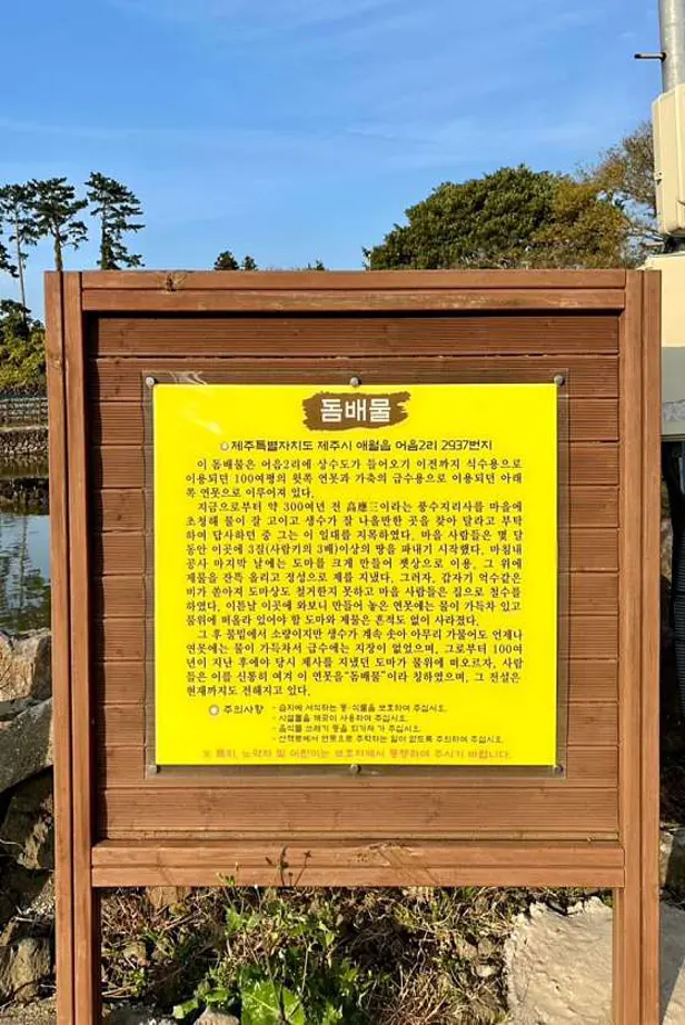 제주어음리빌레못동굴