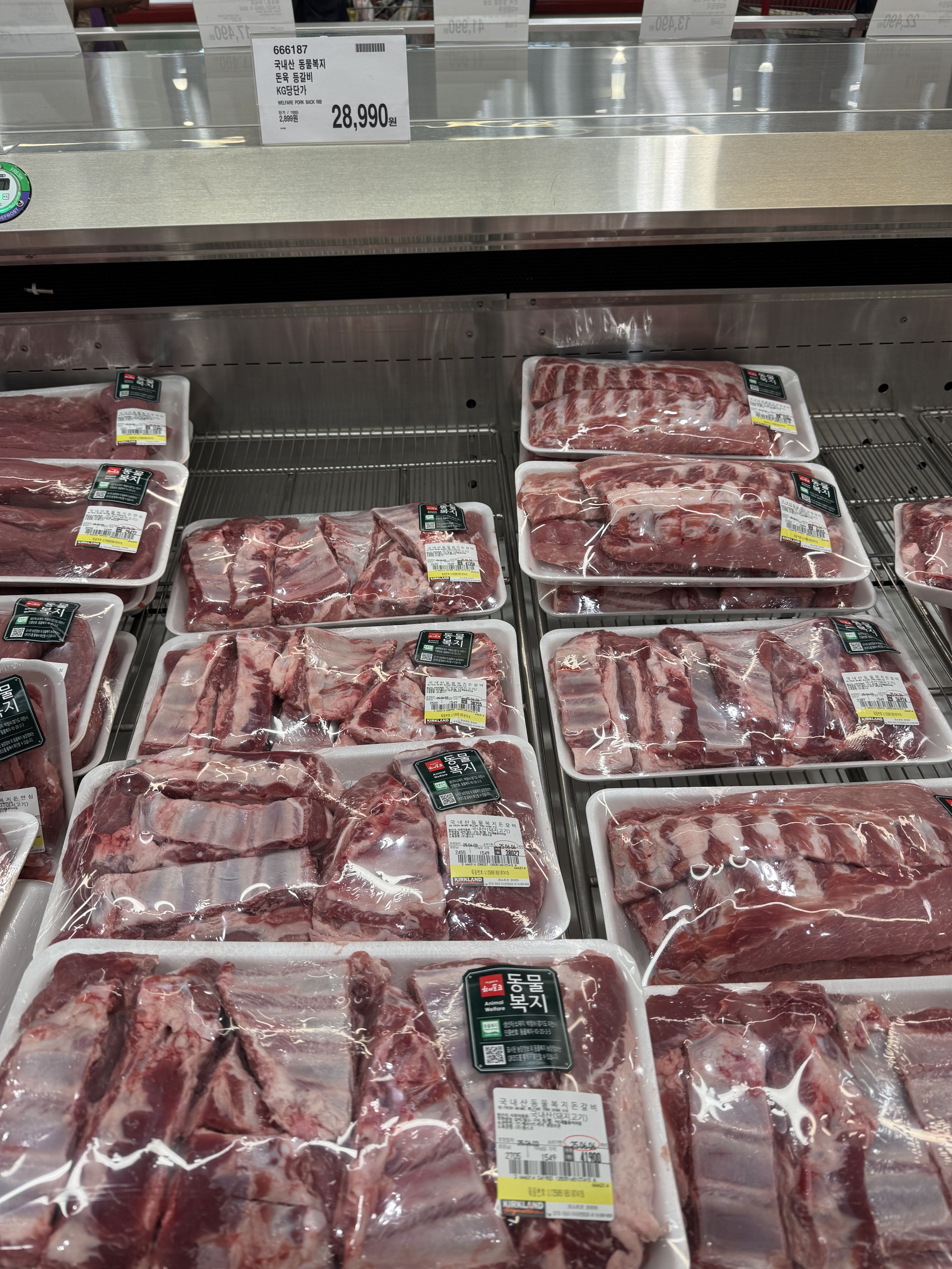 코스트코 6월 할인 상품