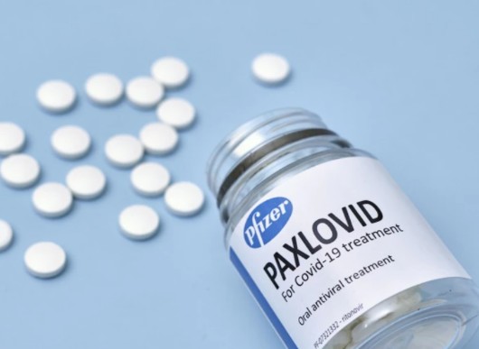 요즘 코로나 증상 순서, 코로나 먹는 치료제 투여대상자 범위 처방, 팍스로비드 임산부