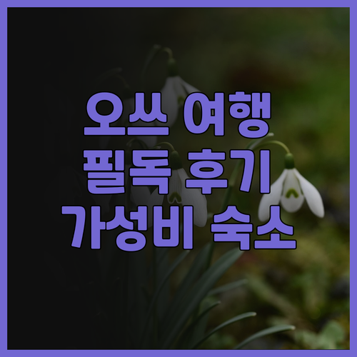 오쓰 여행객 필독 Hotel Teto..