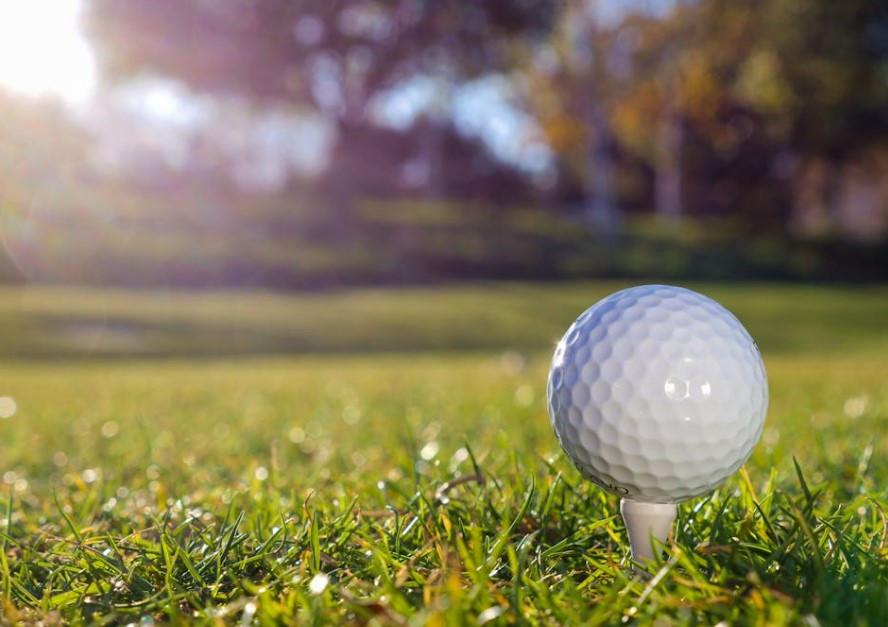 골프회원권 투자 가치 분석&amp;#44; 2025년 자산 포트폴리오에 적합한가