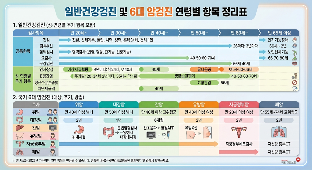 2026 일반검진 및 6대 암검진 연령별 항목 정리표