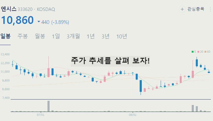 BMS 관련주 대장주 테마주 TOP10