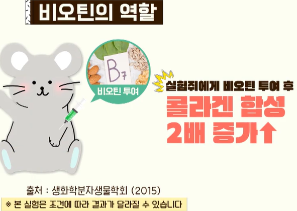 비오틴 효능