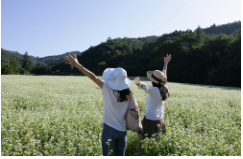 동백여행사 봉평 꽃 축제