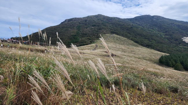 영남알프스-신불산-간월재-억새축제-억새산행-포토존