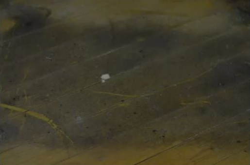 장판 아래 곰팡이 생기지 않게 하는 법