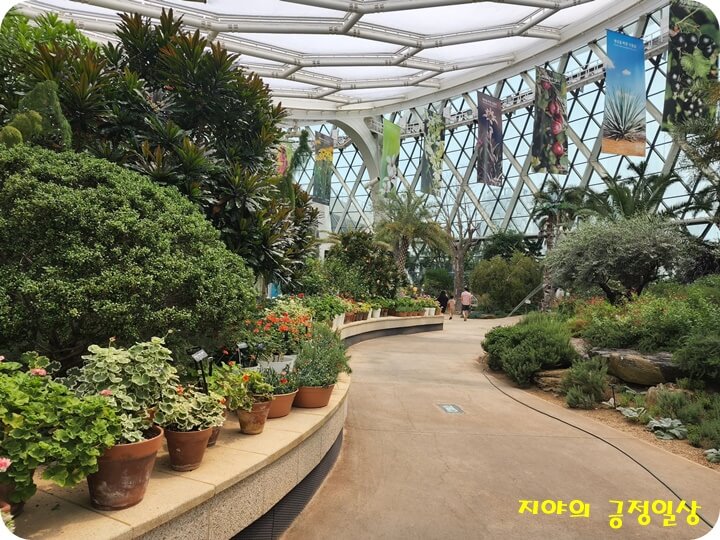 온실 안 S자 모양의 길 옆에 있는 화분들과 나무들