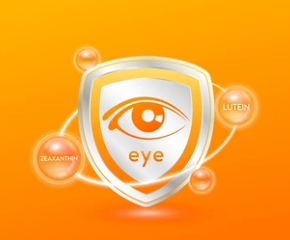 루테인 지아잔틴 효능