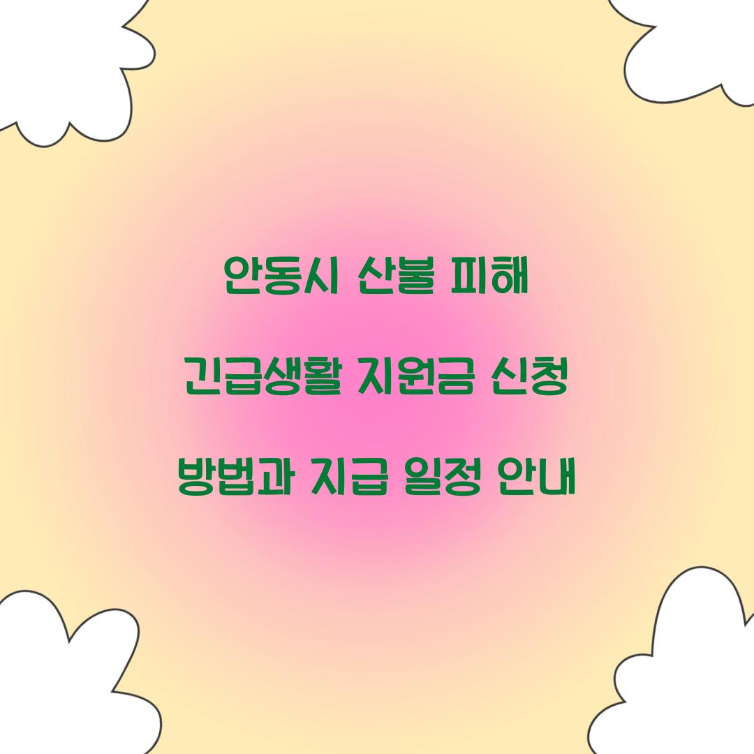 안동시 산불 피해 긴급생활 지원금