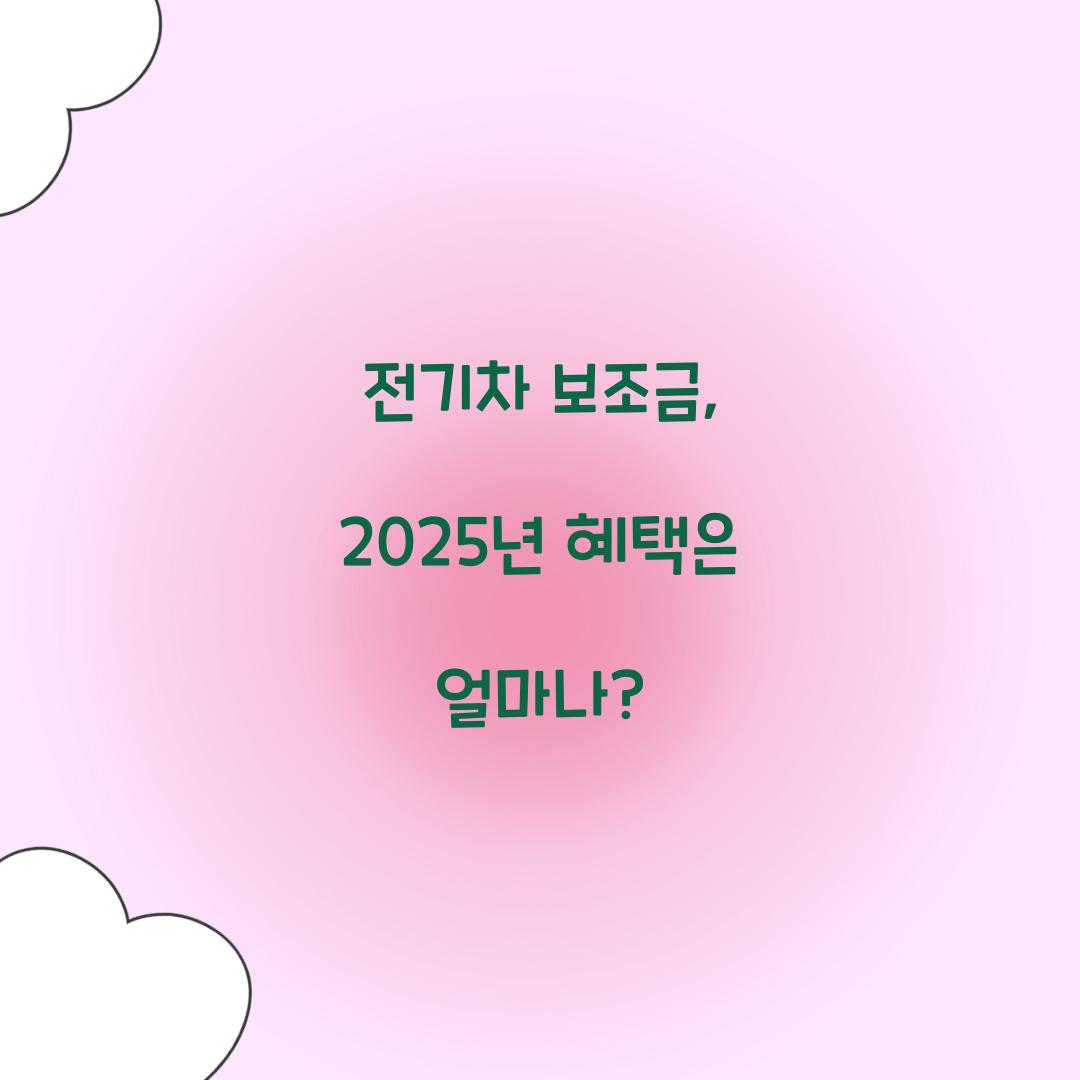 전기차 보조금