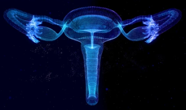 자궁경부암 4기 생존율