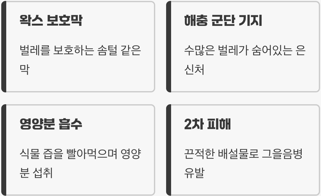 솜뭉치 위장술, 녀석의 정체부터 알자