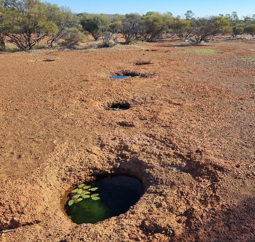 마침내 아웃백_퀼피 가는길