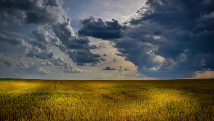 주말농장 분양가격 관련 사진