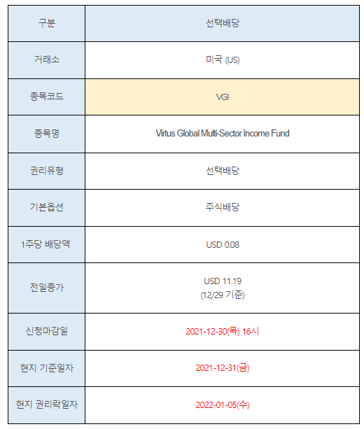 미국주식 선택배당 안내 VGI