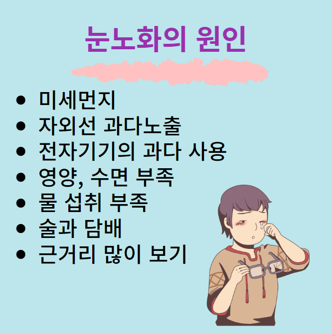 눈노화의 원인