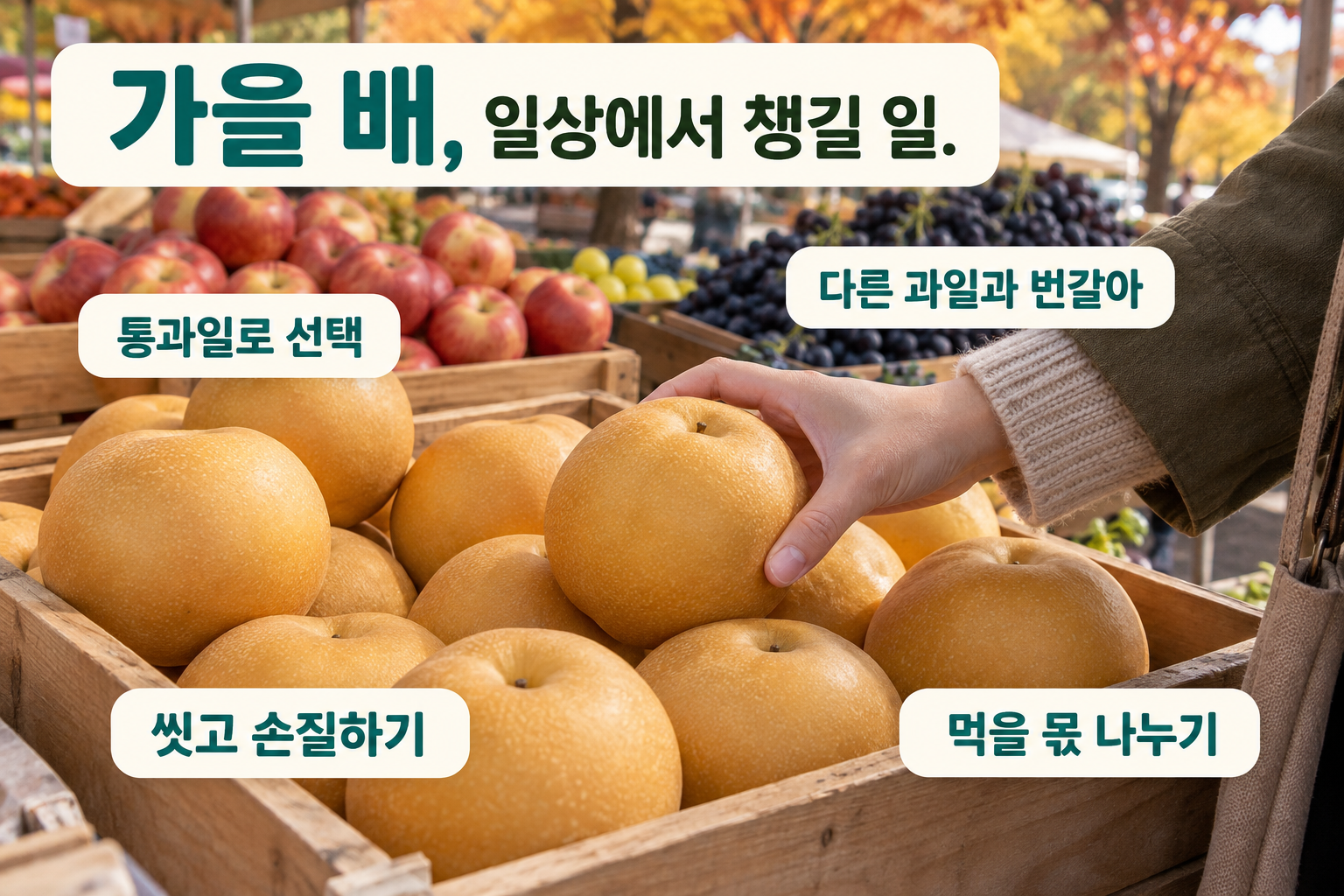 가을 과일가게에서 배를 고르는 한 장면과 네 가지 실천 문구