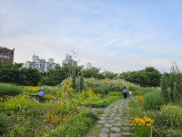 서울 가볼만한 곳 뚝섬한강공원