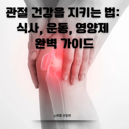관절 건강을 지키는 법: 식사, 운동, 영양제 완벽 가이드