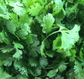 파슬리의 효능 부작용 먹는법 고르는법