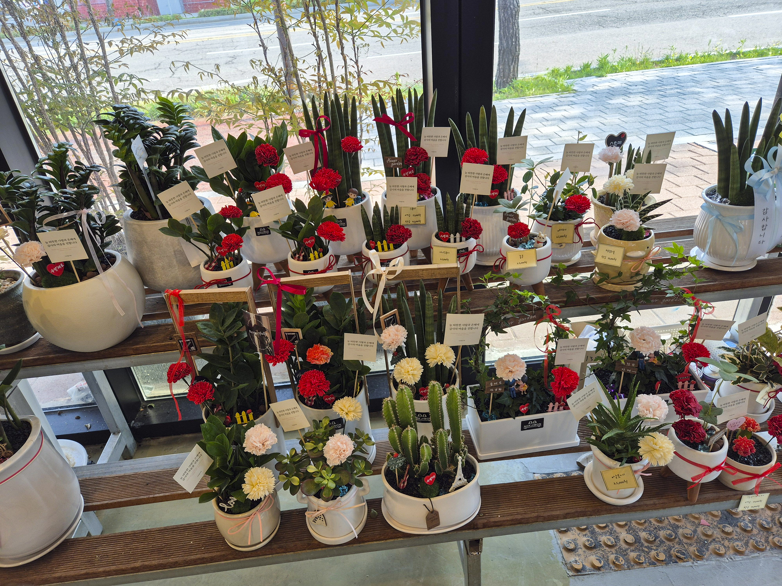 일산 꽃집 사와플라워의 다양한 카네이션