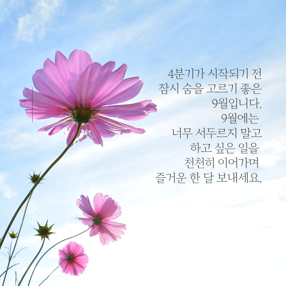 4분기를 앞두고 천천히 남은 한 해를 이어가라는 9월 인사말 이미지