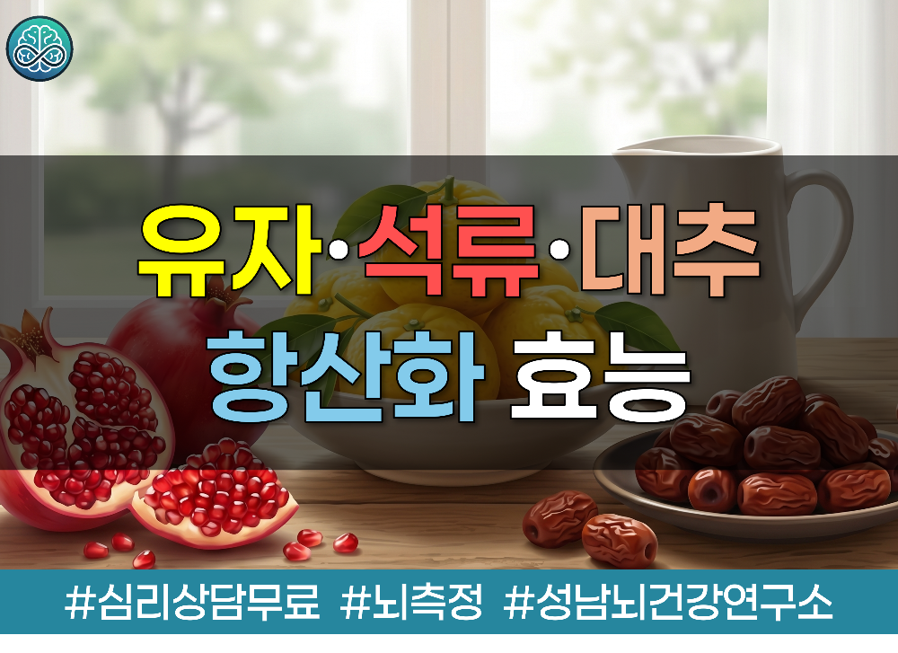 유자&middot;석류&middot;대추의 항산화 효능