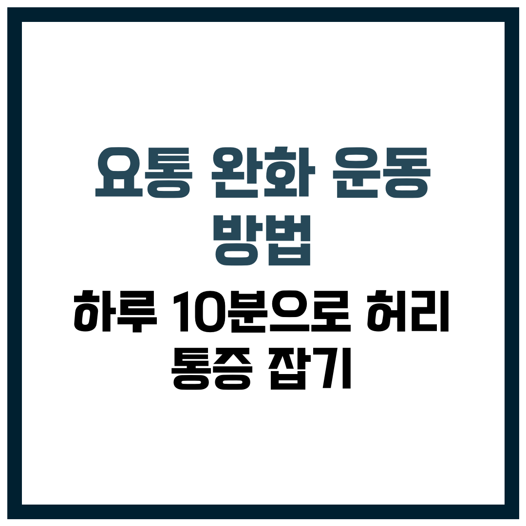 요통 완화 운동 방법