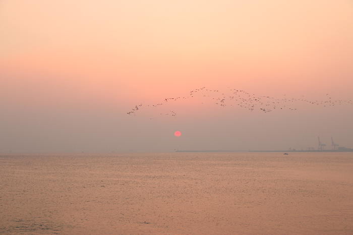 애드고시 통과 , 일출처럼 새 날이 밝아옵니다