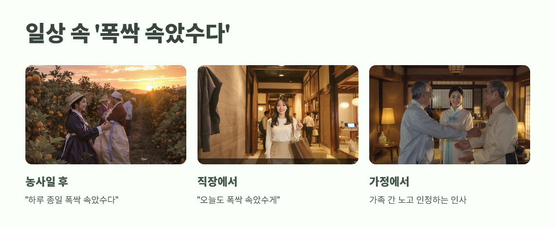 폭싹 속았수다 뜻 한번에 이해 5