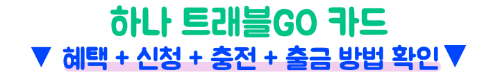 일본여행-트래블카드-추천-트래블러스-트래블로그-트래블GO-쏠트래블-SOL트래블