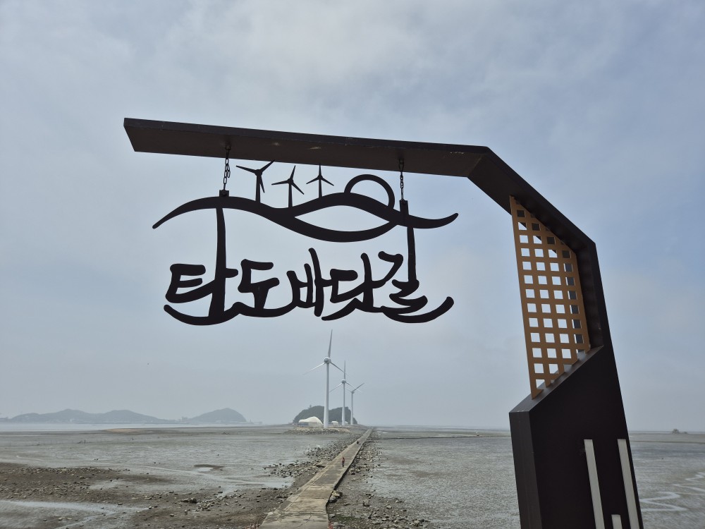 탄도항 누에섬 물때시간표
