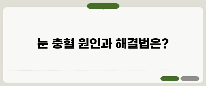 눈 충혈 원인과 빨리 없애는 방법