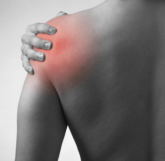 침향환 효능 - 염증 억제