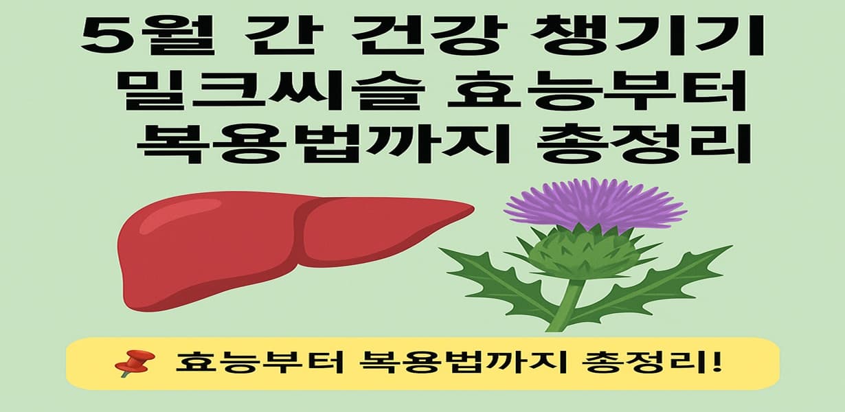 “간과 밀크씨슬 일러스트로 구성된 5월 간 건강 관련 정보 이미지”