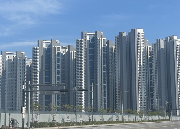 국제도시