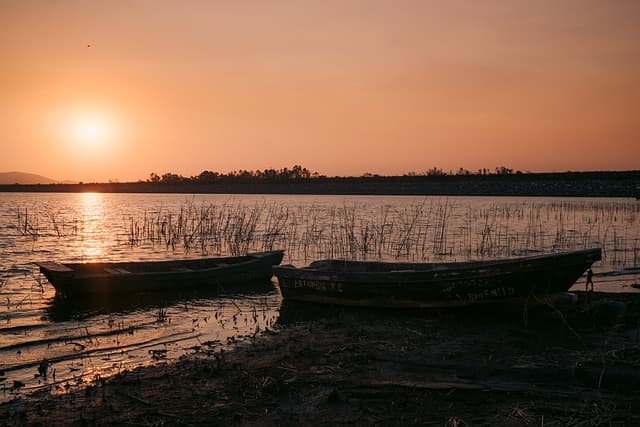 라틴 아메리카 나무 조각 공예: 전통 이야기의 조형물