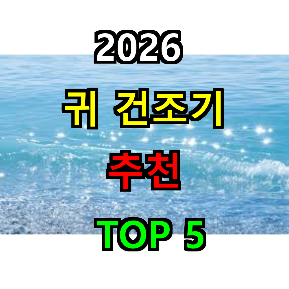 2026 귀 건조기 추천 TOP 5