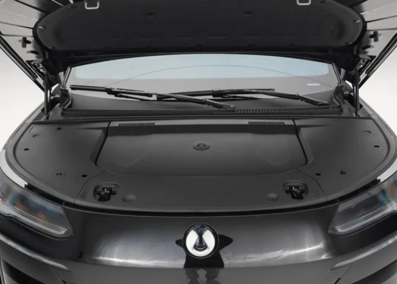 BYD 덴자 N9 이미지