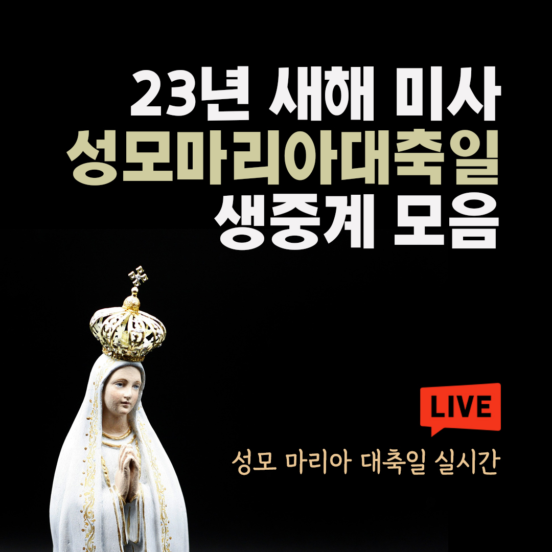 23년 1월 1일 새해 미사 성모마리아대축일 명동성당 미사 생중계 모음