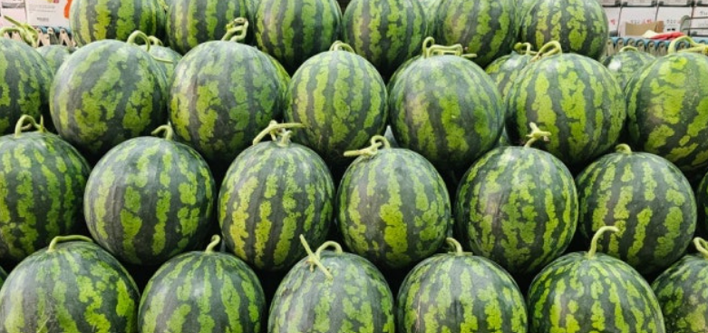 여름철 혈관 청소부! 수박으로 혈관 속 노폐물 싹 비우는 비법