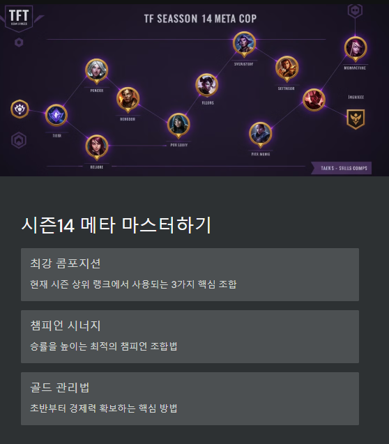 Meta TFT 롤토체스 시즌14 티어 올리는법 사용법 어플