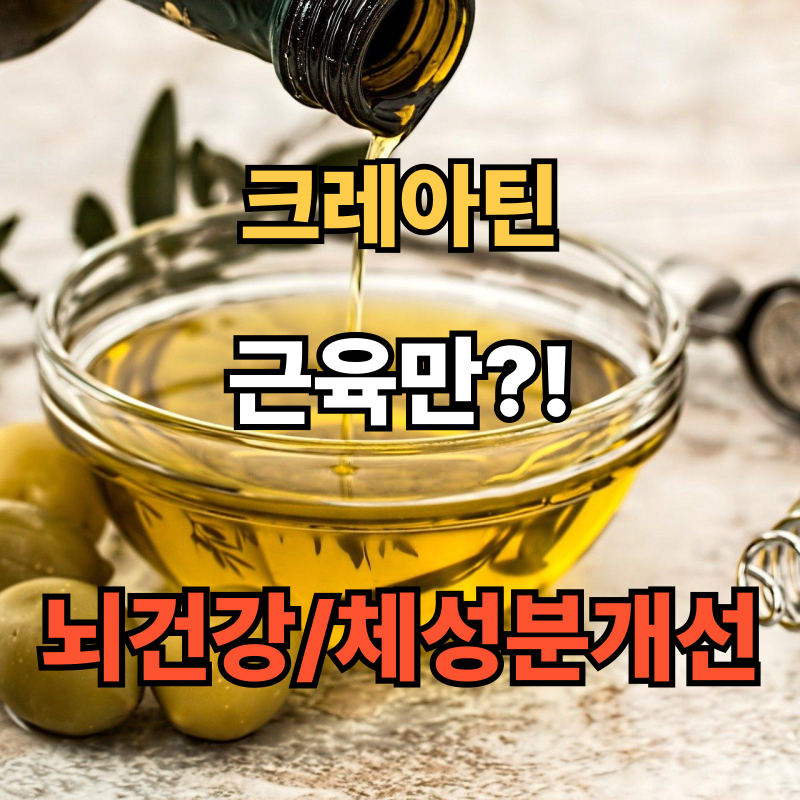 💪 크레아틴, 근육뿐 아니라 뇌 건강까지? 효능 및 부작용 / 복용팁