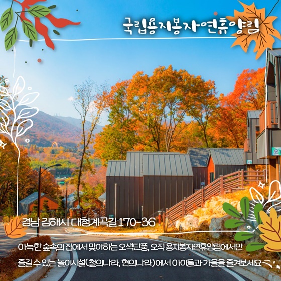 단풍놀이 명소
