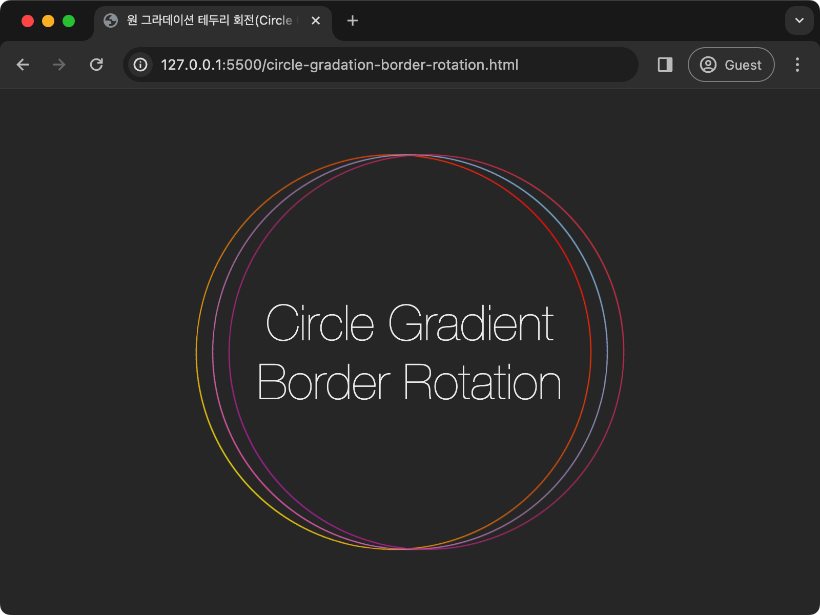 원형 테두리를 추가하고 각각 다른 그라데이션을 적용한 결과 화면